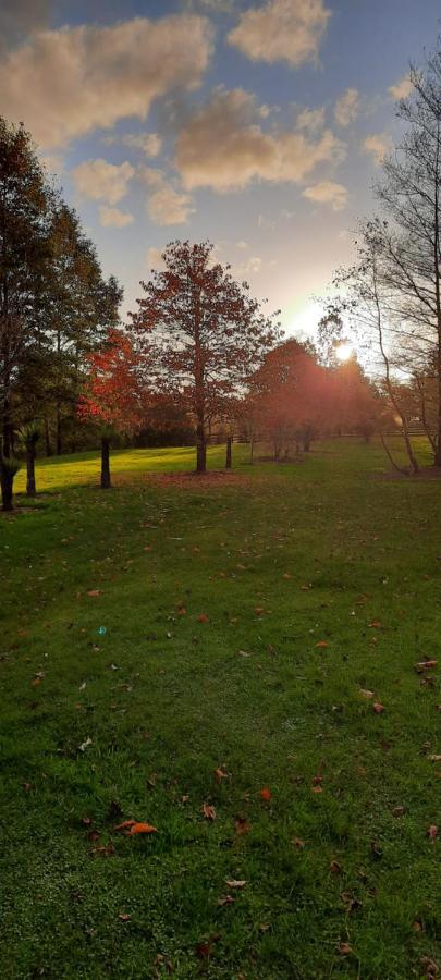 Lake Brunner Country Motel & Holiday Park Moana Екстер'єр фото